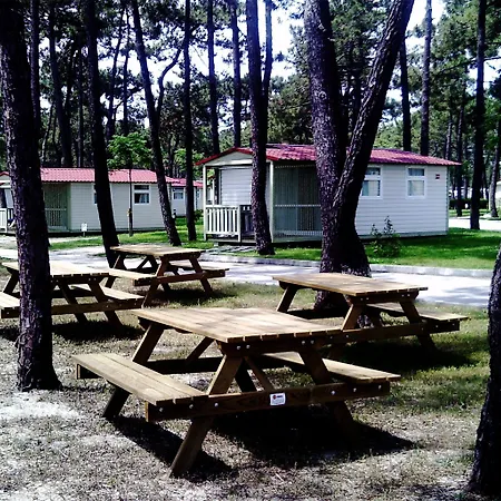 Camping Parque De Campismo Orbitur Gala 3*