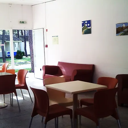 Parque De Campismo Orbitur Gala Camping 3*