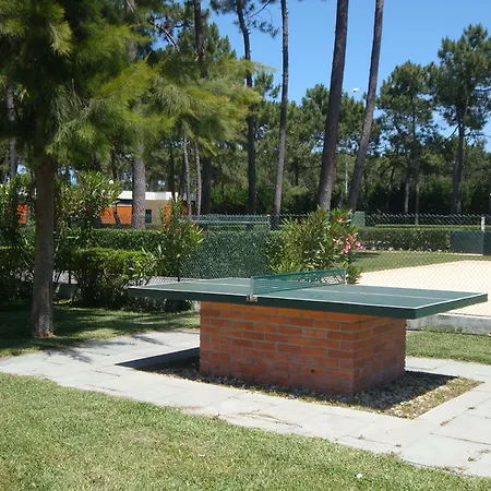 Camping Parque De Campismo Orbitur Gala 3*