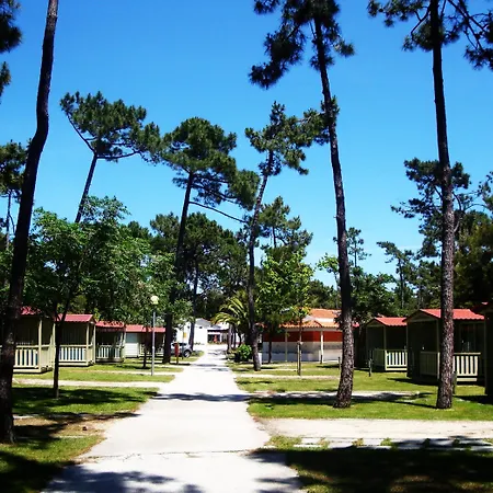 Camping Parque De Campismo Orbitur Gala