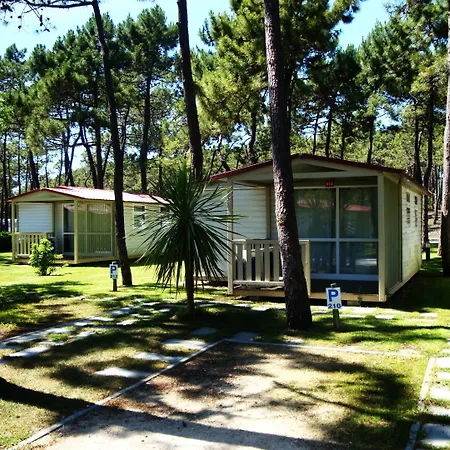 Parque De Campismo Orbitur Gala Parque de Campismo 3*