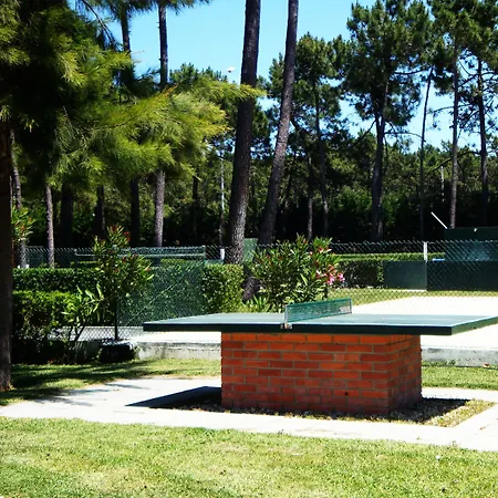 Parque De Campismo Orbitur Gala Parque de Campismo