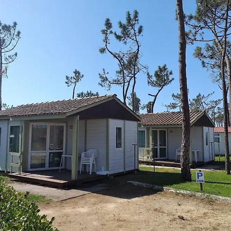 Camping Parque De Campismo Orbitur Gala 3*