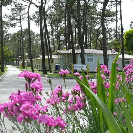 Parque De Campismo Orbitur Gala Parque de Campismo 3*