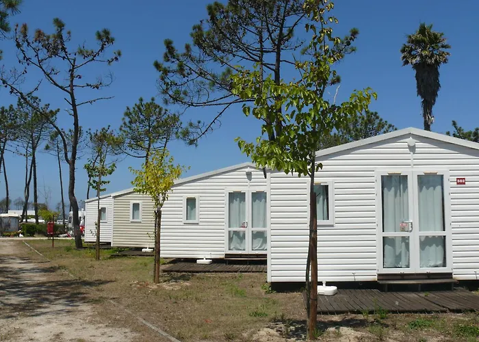 Camping Parque De Campismo Orbitur Gala