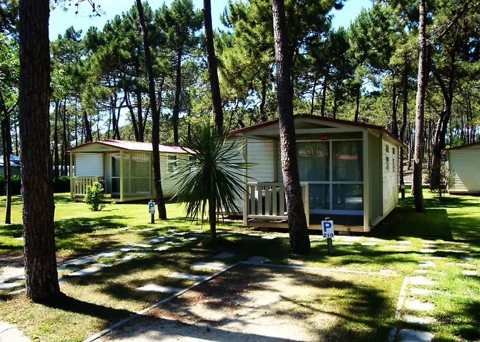 Parque De Campismo Orbitur Gala Camping 3*