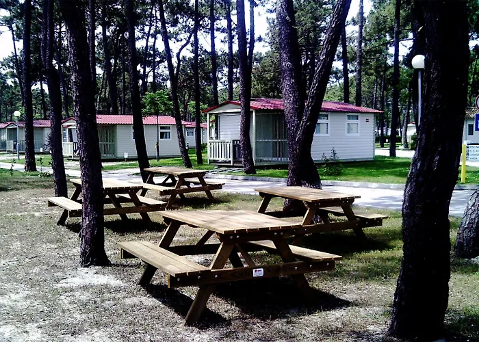 Camping Parque De Campismo Orbitur Gala 3*