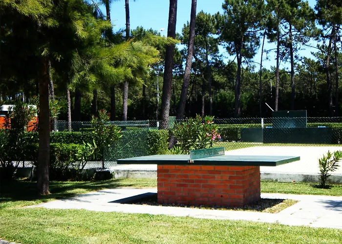 Parque De Campismo Orbitur Gala مكان تخييم