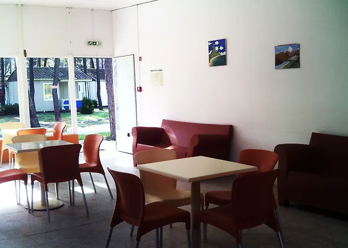 Parque De Campismo Orbitur Gala Camping 3*