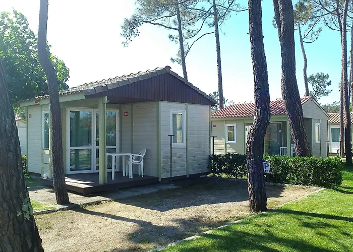 Parque De Campismo Orbitur Gala Camping Figueira da Foz