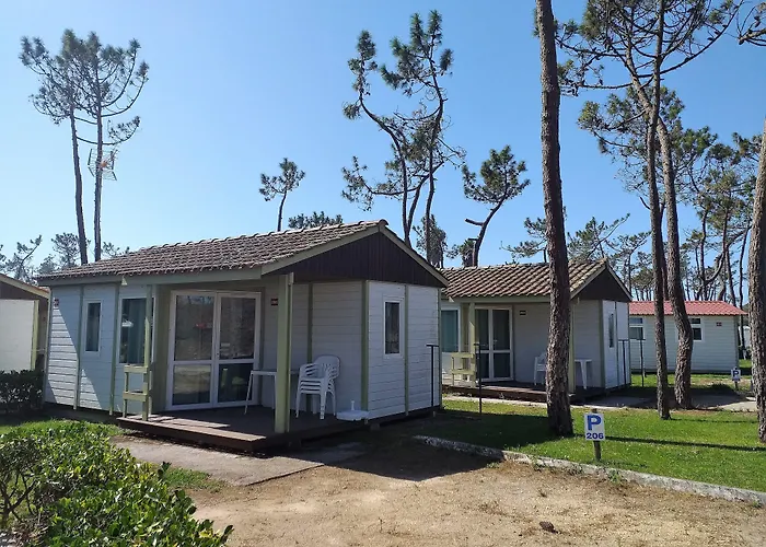 Camping Parque De Campismo Orbitur Gala 3*