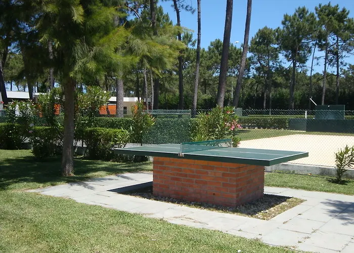 Camping Parque De Campismo Orbitur Gala 3*