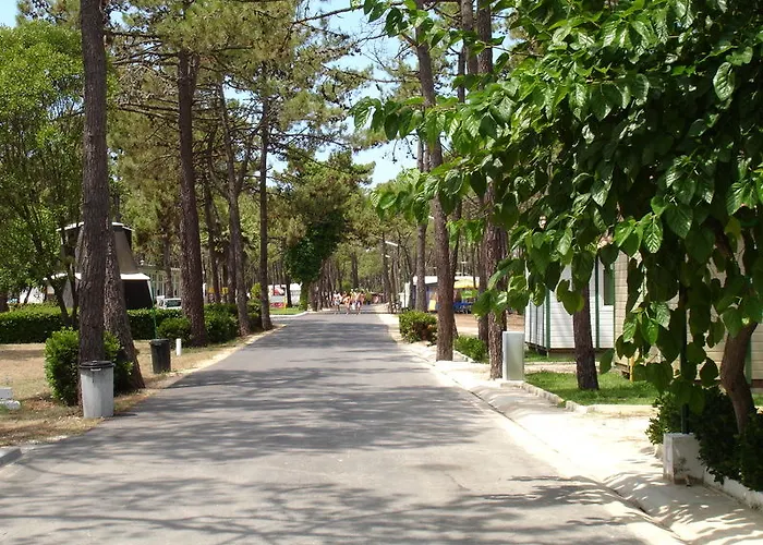 Parque De Campismo Orbitur Gala