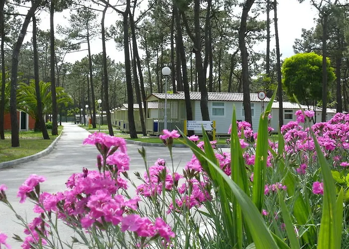 Parque De Campismo Orbitur Gala Camping 3*