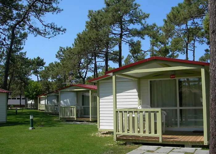 Parque De Campismo Orbitur Gala مكان تخييم 3*