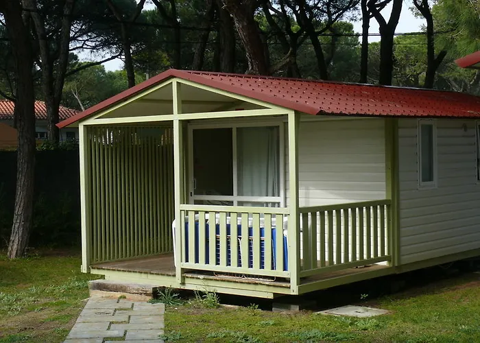 Parque De Campismo Orbitur Gala مكان تخييم فيغيورا دا فوز